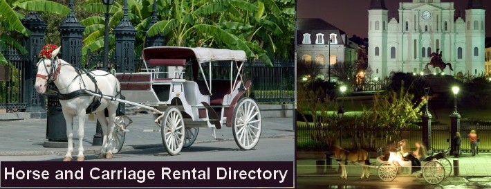 Horse Carriage Rentals - Horse and Carriage Rental Directory LOGO
